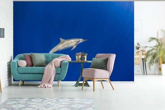 Fond d' écran - Papier peint photo - Natation Dauphins Image Sous - Marine - Largeur 450 cm x Hauteur 300 cm