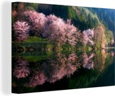 Printemps rose au lac 60x40 cm - Tirage photo sur toile (Décoration murale salon / chambre)