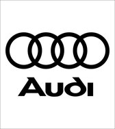 Audi Logo Wit 15x20 cm