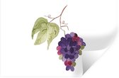 Stickers Stickers muraux - Raisins - Feuilles - Aquarelle - 30x20 cm - Feuille adhésive