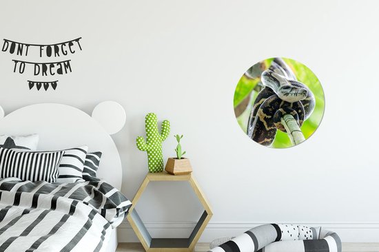 Cercle de papier peint - Anaconda - Arbre - Serpent - ⌀ 30 cm - Cercle de mur - Autocollant - Sticker papier peint