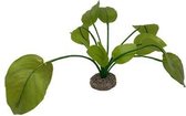 Aquariumplant kunstplant Anubias 2 groen 17 cm
