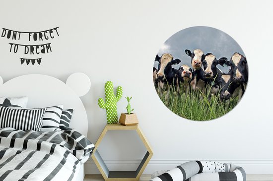 Ciel gris au dessus du troupeau de vaches frisonnes Cercle mural aluminium ⌀ 90 cm - tirage photo sur cercle mural / cercle vivant / cercle de jardin (décoration murale)