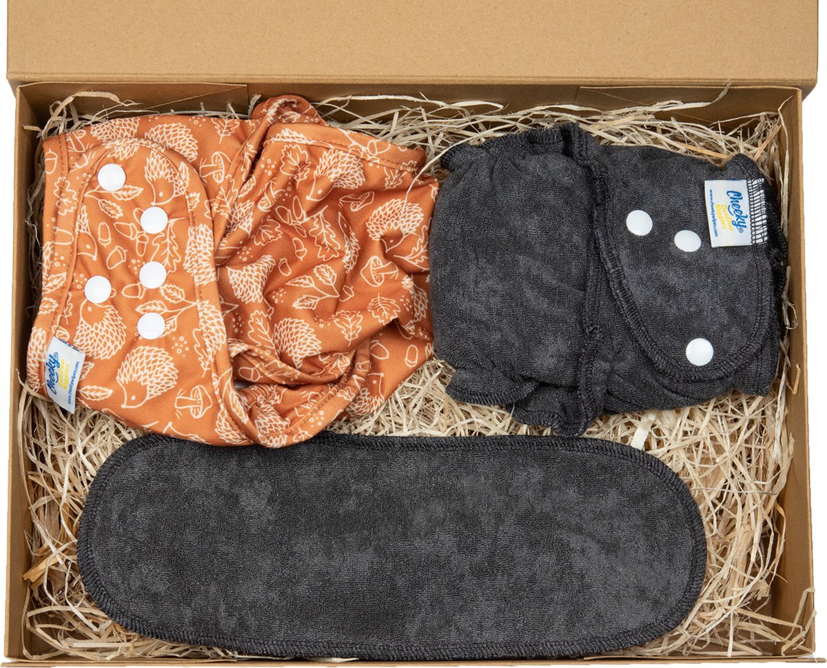 Goedkoopste Duurzaam baby geschenkset Cheeky Wipes wasbare luier - maat 1 inlegger normaal egel overbroekje