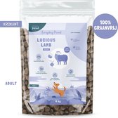 Studio Proud - hondenvoer graanvrij  - Lam honden droogvoer - 20 kg - krokante hondenbrokken - Everyday Proud - Lucious Lamb - Crunchy