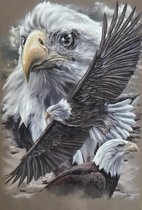 Denza - Diamond painting adelaar havik 40 x 50 cm - havik - exclusief - arend - roof vogel - adelaar - zeer mooi - arend