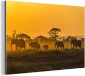 Troupeau d'éléphants au lever du soleil Aluminium 120x80 cm - Tirage photo sur aluminium (décoration murale métal)