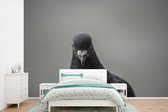 Behang - Fotobehang Een duif op een grijze achtergrond - Breedte 360 cm x hoogte 240 cm