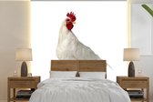 Behang - Fotobehang Jonge witte haan - Breedte 260 cm x hoogte 260 cm