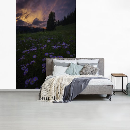 Champ de fleurs dans les montagnes Rocky au crépuscule 170x260 cm