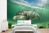 Behang - Fotobehang Dolfijn - Dieren - Water - Breedte 330 cm x hoogte 220 cm