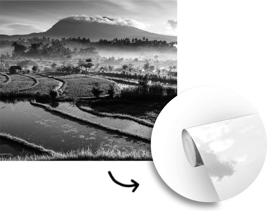 Papier peint Papier peint photo en vinyle - Rizières de Tirtagangga à Bali en Indonésie - noir et blanc largeur 220 cm x hauteur 220 cm - Tirage photo sur papier peint (disponible en 7 tailles)