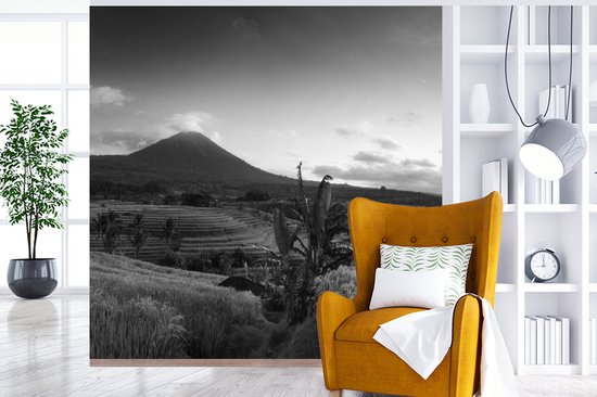 Papier peint - Papier peint Papier peint photo Rizières et volcans en Indonésie - noir et blanc - Largeur 220 cm x hauteur 220 cm