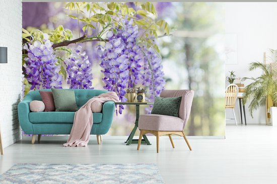 Behang - Fotobehang Blauwe regen in bloei - Breedte 420 cm x hoogte 280 cm