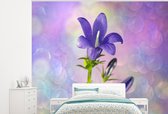 Behang - Fotobehang Een violette sterhyacint - Breedte 300 cm x hoogte 240 cm