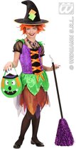 Heks & Spider Lady & Voodoo & Duistere Religie Kostuum | Heks Witch Of Colors Kostuum Meisje | Maat 140 | Halloween | Verkleedkleding