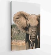 Canvas schilderij -  Productnummer 6551925 - 80*60 Vertical