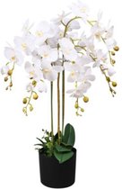 Kunst orchidee plant met pot 75 cm