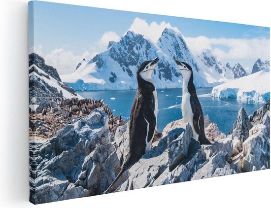 Artaza Toile Peinture Deux Pingouins sur des Pierres en Antarctique - 120x60 - Groot - Photo sur Toile - Impression sur Toile