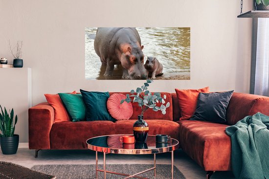 Affiche Animaux - Hippopotames - Bébé - 120x60 cm