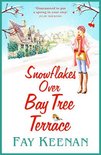 Willowbury2- Snowflakes Over Bay Tree Terrace