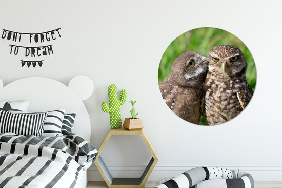 WallCircle - Stickers muraux - Cercle Papier Peint - Hiboux - Vogels - Herbe - 100x100 cm - Cercle Mural - Auto Adhésif - Sticker Papier Peint Rond XXL