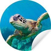 WallCircle - Muurstickers - Behangcirkel - Zeeschildpad zwemmend in Hawai - ⌀ 120 cm - Muurcirkel - Zelfklevend - Ronde Behangsticker XXL