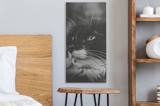 Tableau sur toile représentant un chat de profil regardant de côté en noir et blanc - 20x40 cm - Décoration murale