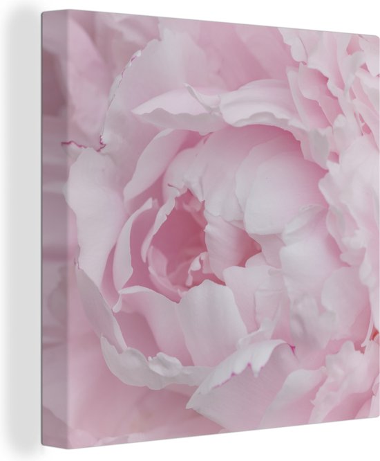 Canvas Schilderij Close-up en bovenaanzicht van een roze pioenroos - 20x20 cm - Wanddecoratie