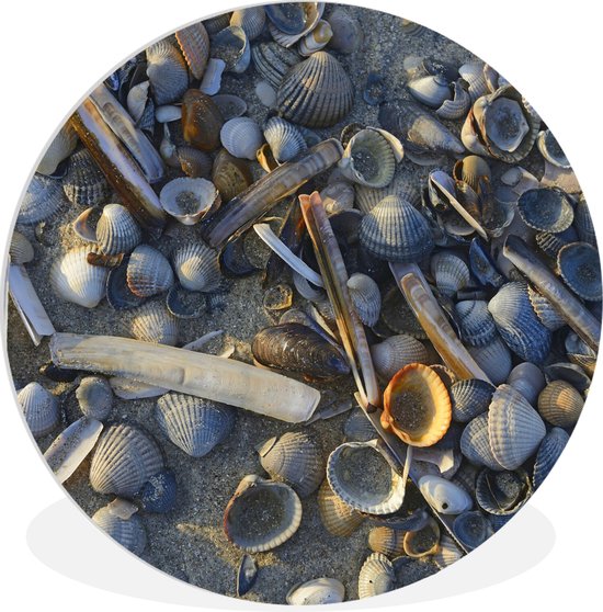 WallCircle - Wall Circle - Wall Circle Indoor - Coquillages sur la Plage de Vlieland - 120x120 cm - Décoration murale - Peintures Ronds XXL