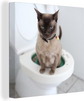 Canvas Schilderij Een Burmees kat zit op het toilet - 20x20 cm - Wanddecoratie
