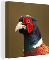Canvas Schilderij Fazant - Portret - Dieren - 20x20 cm - Wanddecoratie