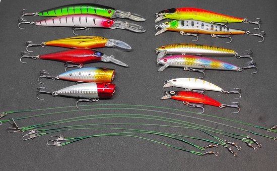 Kunstaas set - 25 delig - Alle type roofvis - 300M vislijn - Pluggen - Jerkbaits - Meerval - Snoek - Snoekbaars - Baars - CADEAUTIP! — afbeelding 3