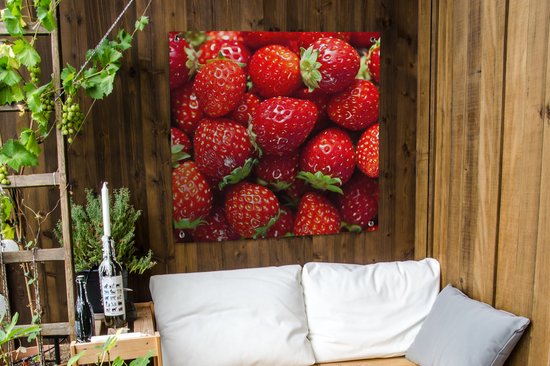Chiffon de jardin Fraise - Fruit - Graines - 100x100 cm