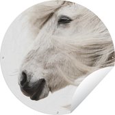 Tuincirkel Paard - Schimmel - Wit - 60x60 cm - Ronde Tuinposter - Buiten