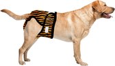 Loopsheidbroekje Hond - L - Hondenluier - Tijgerprint - Taille 36-46 cm - Wasbaar