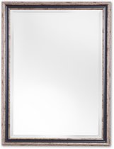 Klassieke Spiegel 50x110 cm Zilver - Abby