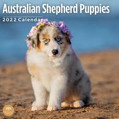 Australian Shepherd Puppies Kalender 2022