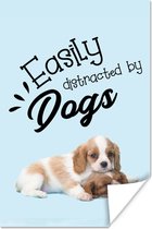 Poster Quotes - Honden - Spreuken - Easily distracted by dogs - 20x30 cm