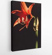 Onlinecanvas - Schilderij - Records Braziliaanse Flora Natuurlijk Licht Art Verticaal Vertical - Multicolor - 40 X 30 Cm