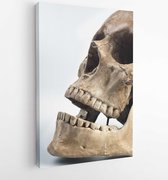 Menselijke schedel met witte achtergrond - Modern Art Canvas - Verticaal - 46510 - 40-30 Vertical