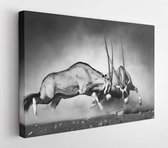 Gemsbok dubbel (Artistieke verwerking) - Modern Art Canvas - Horizontaal - 223257292 - 115*75 Horizontal