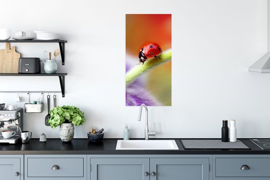Affiche Coccinelle sur une fleur violette - 40x80 cm