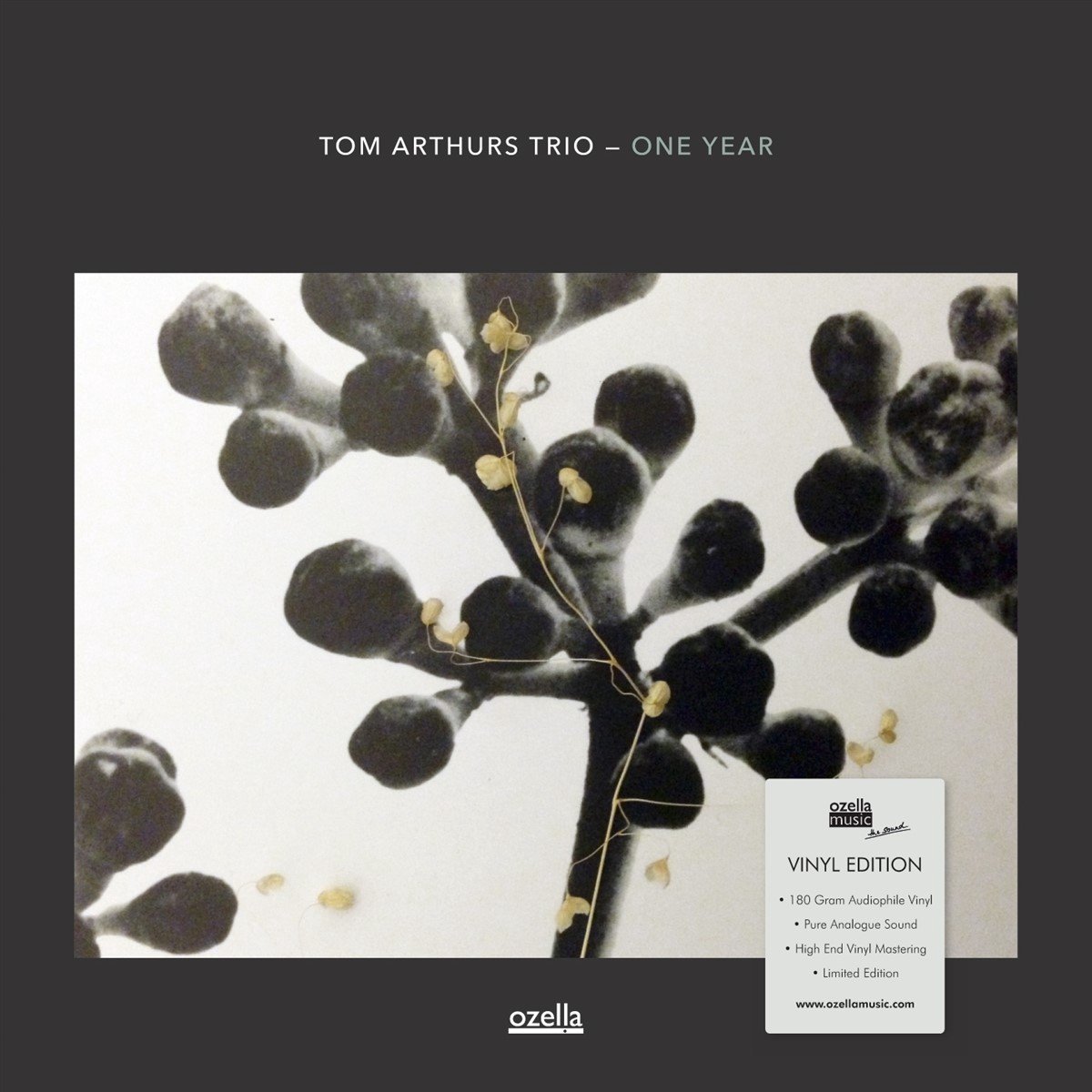 Tom Arthurs Trio - One Year (LP) (Limited Edition)