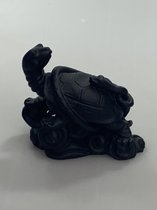 Feng shui Schildpad zwart