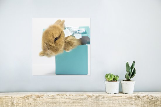 Affiche Lapin - Pastel - Blauw - 30x30 cm