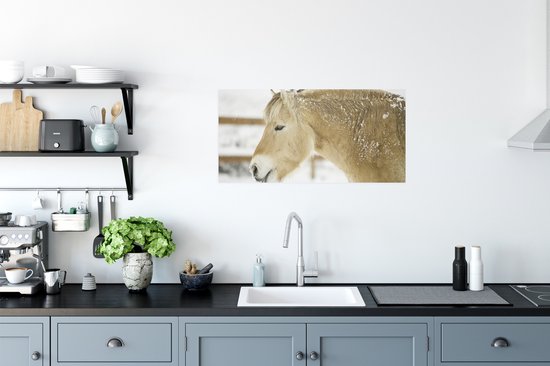 Poster Gros plan d'un cheval du fjord dans la neige - 80x40 cm