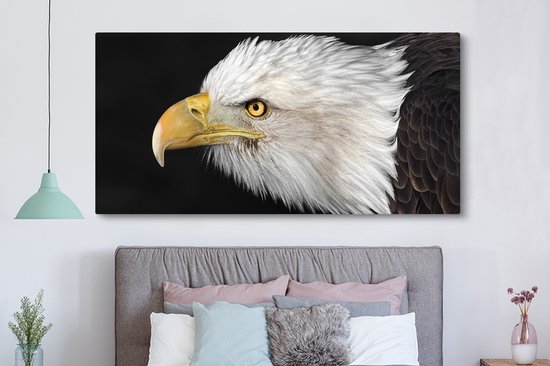 Tableau Toile Aigle - Vogel - Bec - Yeux - 160x80 cm - Décoration murale