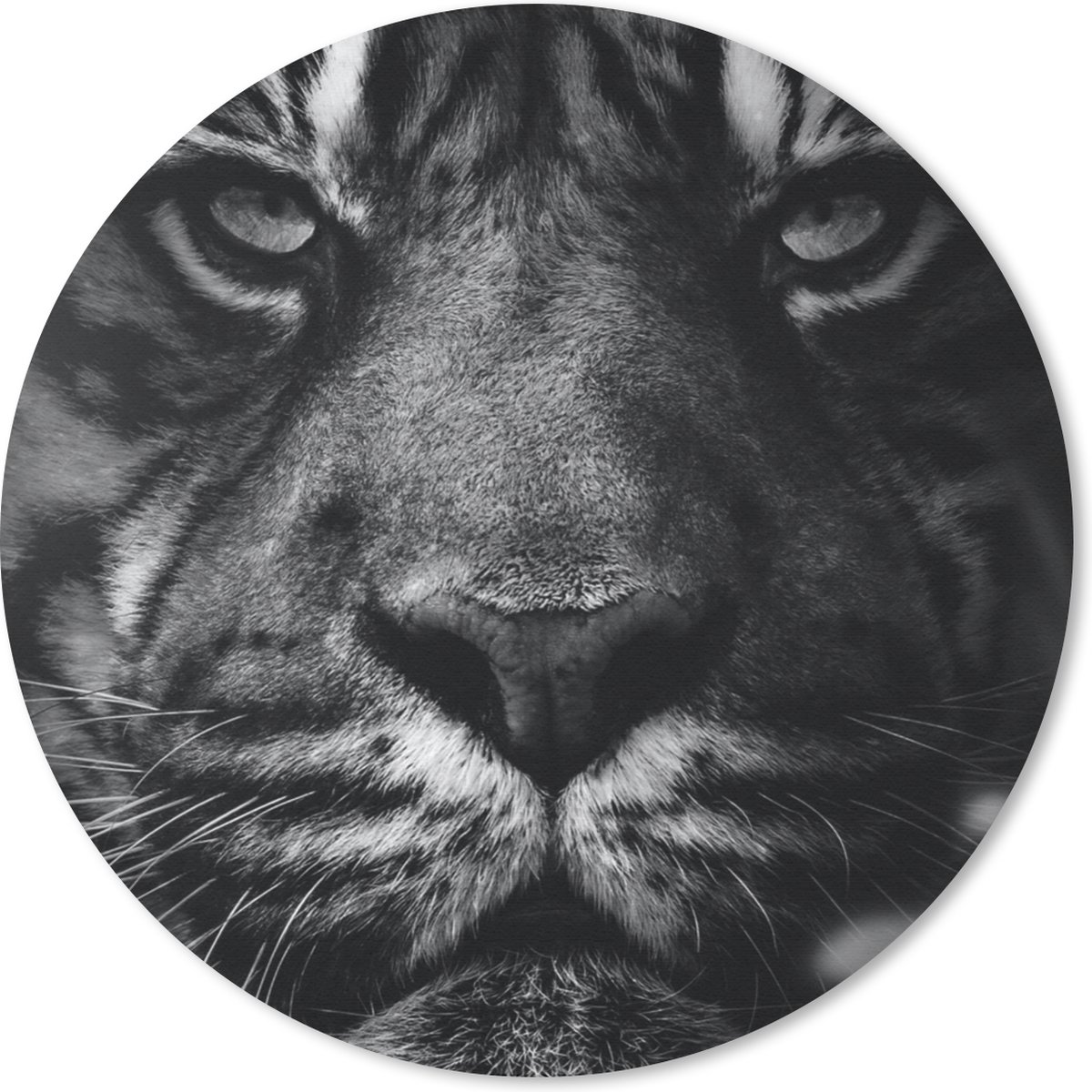 Muismat rond 20x20 cm - Mousepad Dieren - Tijger - Wild - Zwart - Wit - Ronde muismatten