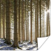 Poster Een bos met boomstammen in een winters landschap - 100x100 cm XXL
